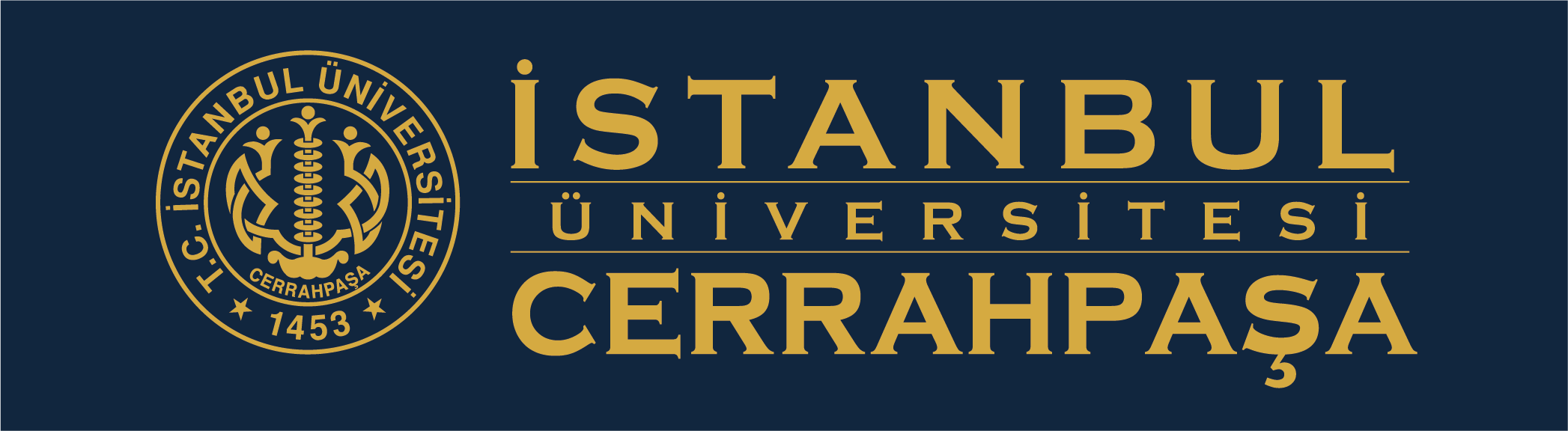 Istanbul University - Cerrahpasa